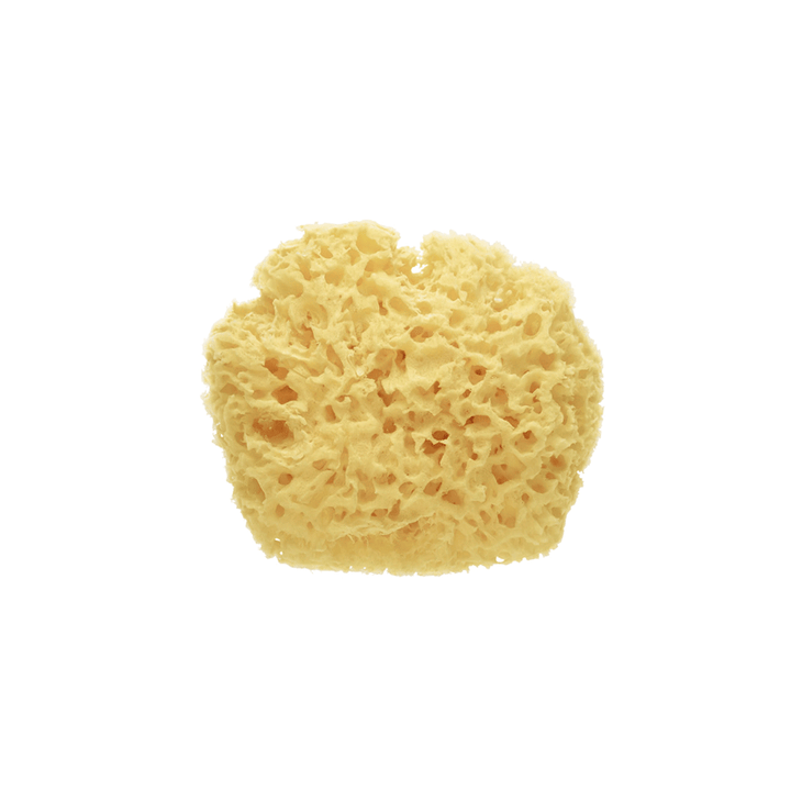 Premium Natural Sponge