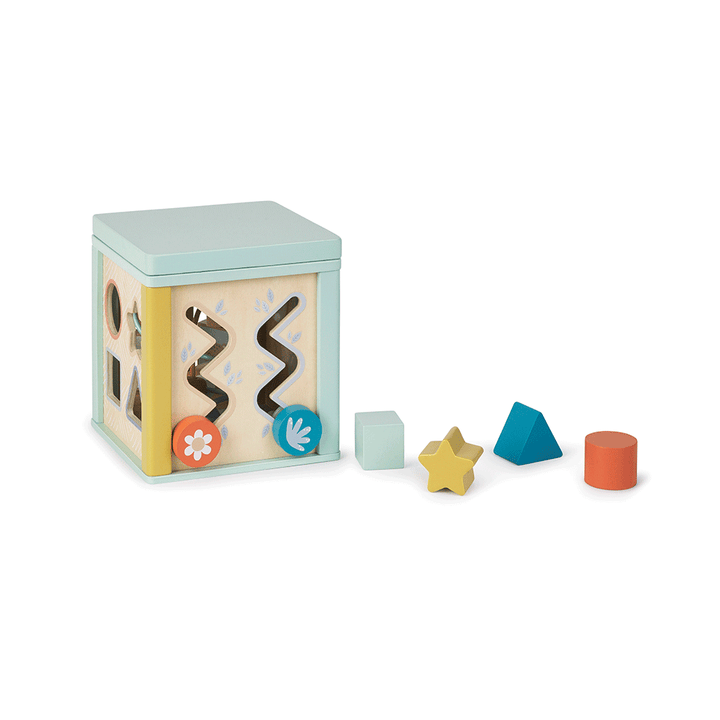 Activity Cube